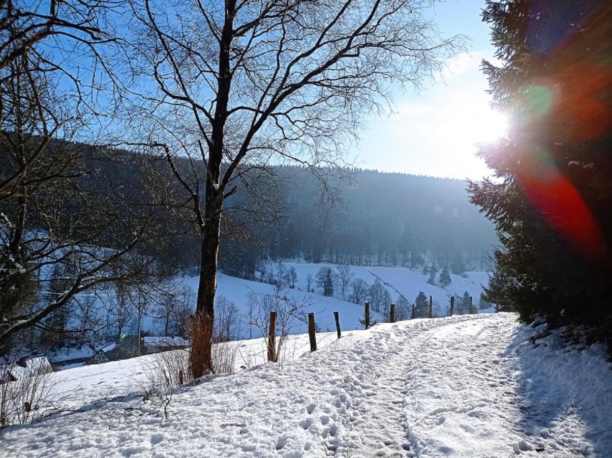 Apartmán Haus Wald-Eck Schmallenberg Exteriér fotografie