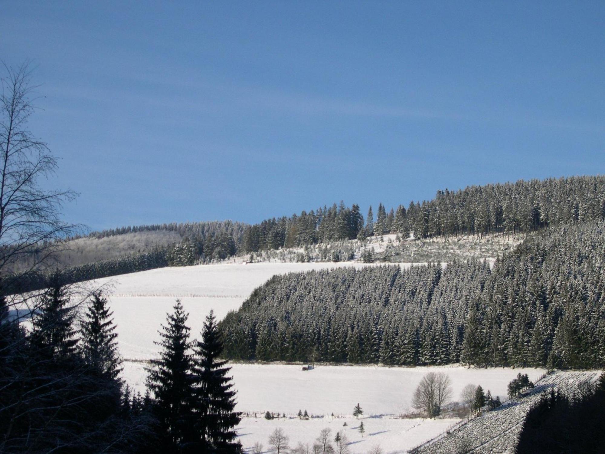 Apartmán Haus Wald-Eck Schmallenberg Exteriér fotografie