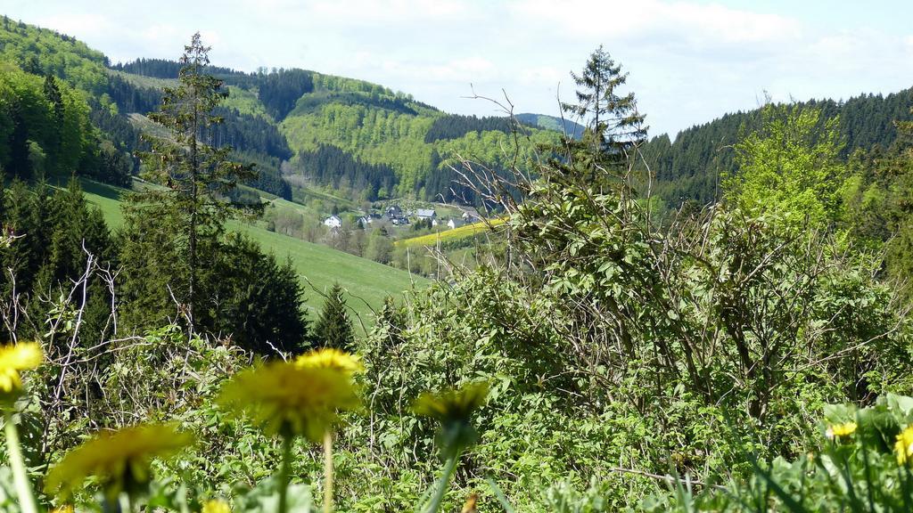 Apartmán Haus Wald-Eck Schmallenberg Exteriér fotografie