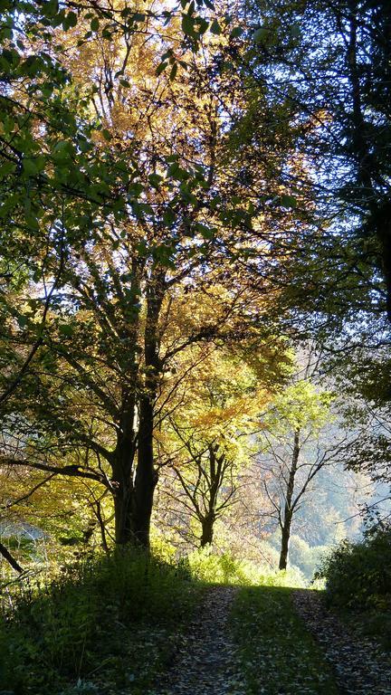 Apartmán Haus Wald-Eck Schmallenberg Exteriér fotografie