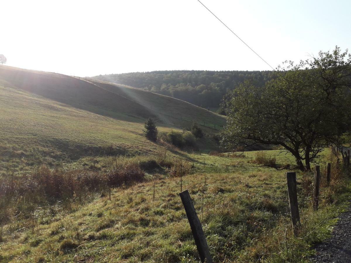 Apartmán Haus Wald-Eck Schmallenberg Exteriér fotografie