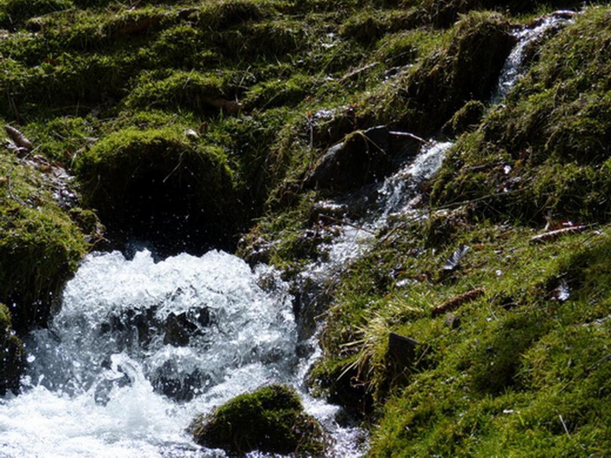 Apartmán Haus Wald-Eck Schmallenberg Exteriér fotografie
